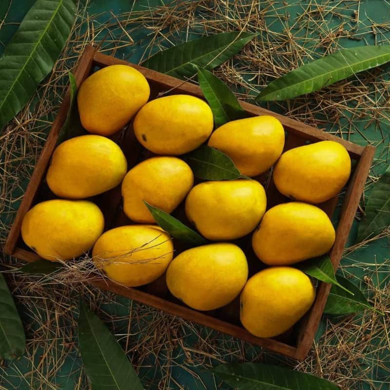 Alphonse mango 3kg box